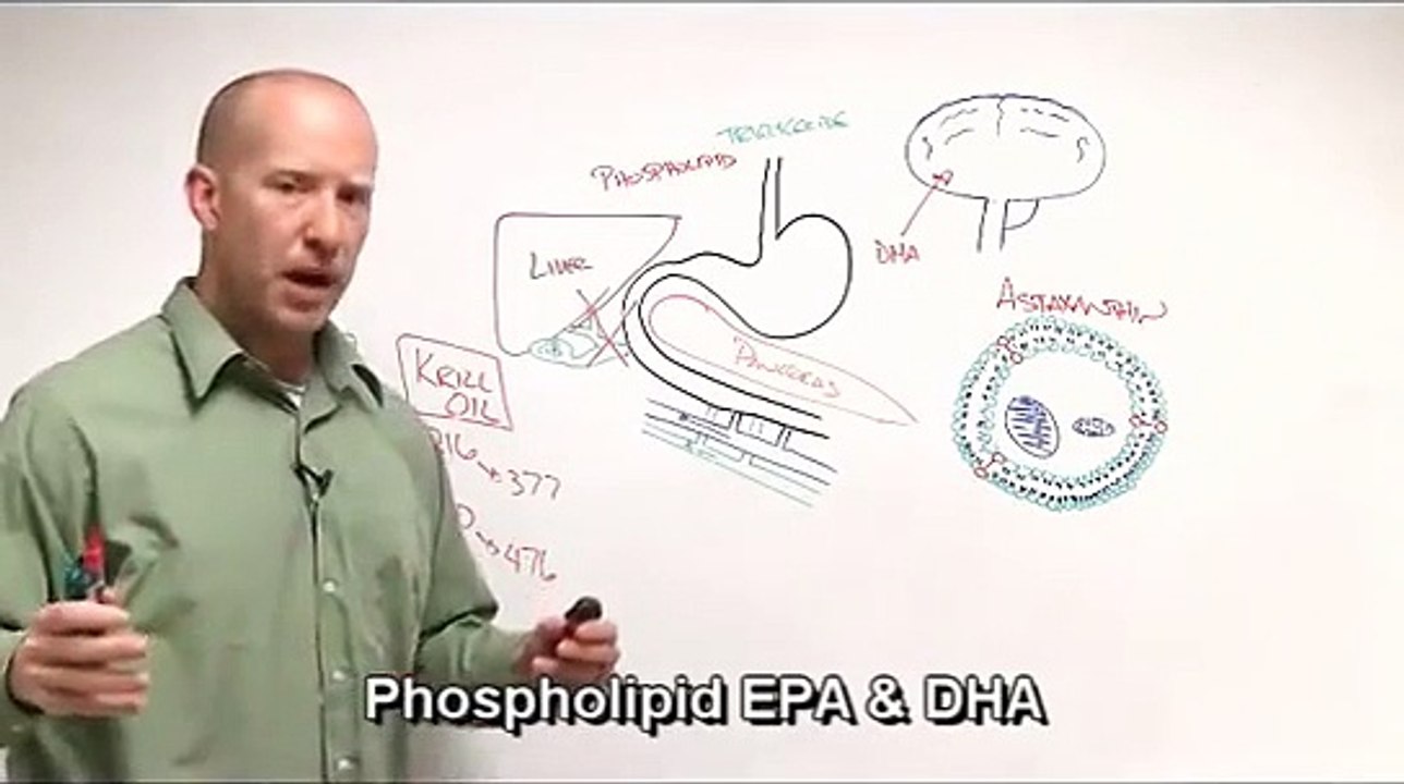 Fish Oil vs Krill Oil