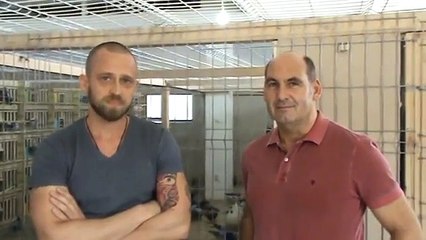 Interviu columbofil Dr Hans Peter Brockamp Bucuresti Romania 26 martie 2014