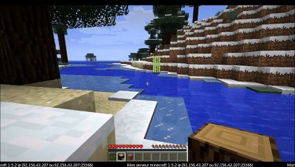 Minecraft : on est sur serveur