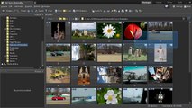 Zoner Photo Studio 12 Tutorial: This Is Not Just a Photoeditor