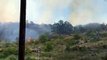 Brush fire on ridge above UH Manoa