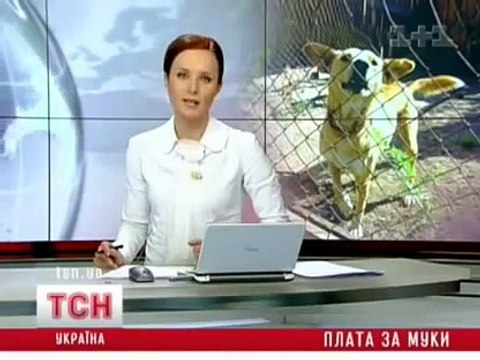 Птичий рынок - плата за муки. 2008г.