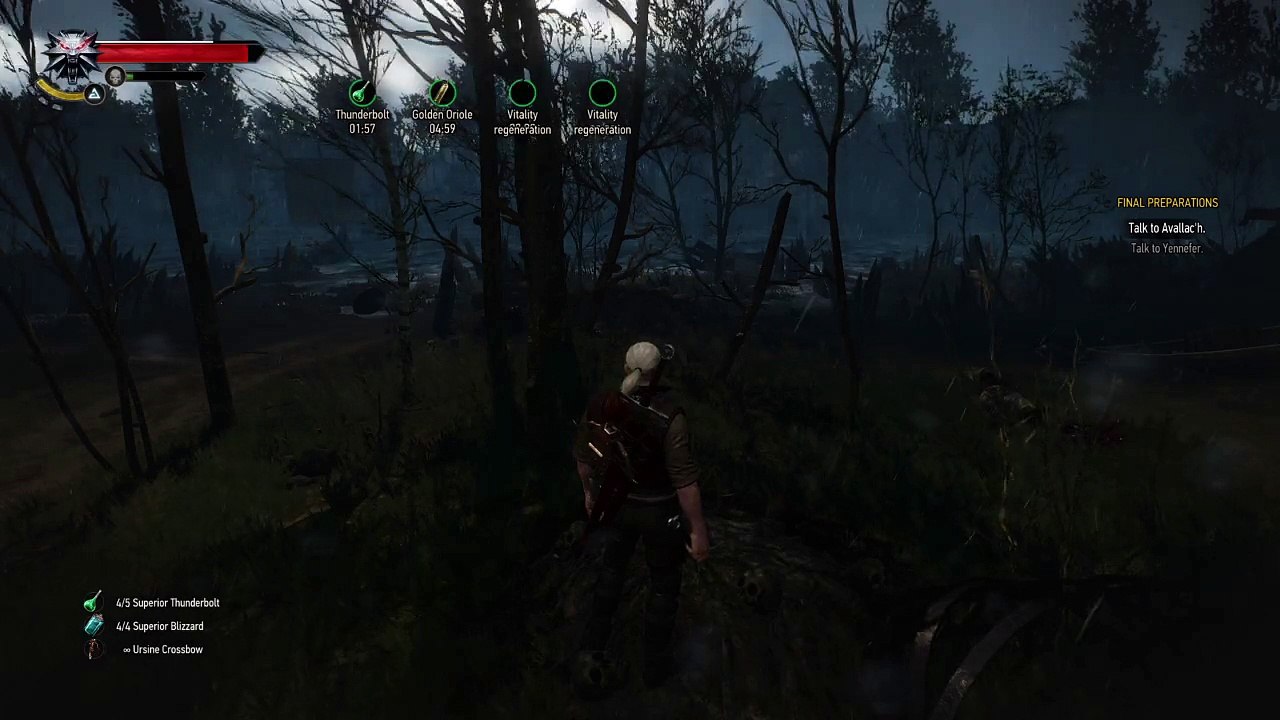 The Witcher 3: Wild Hunt_20150728143734