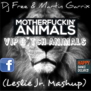 Dj Free, Chino Marino & Stereo Players vs Martin Garrix VIP B tch Animals Leslie Jr MashUp