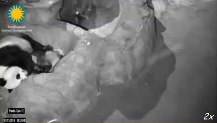 140111 Bao Bao Not Enough Room Mom