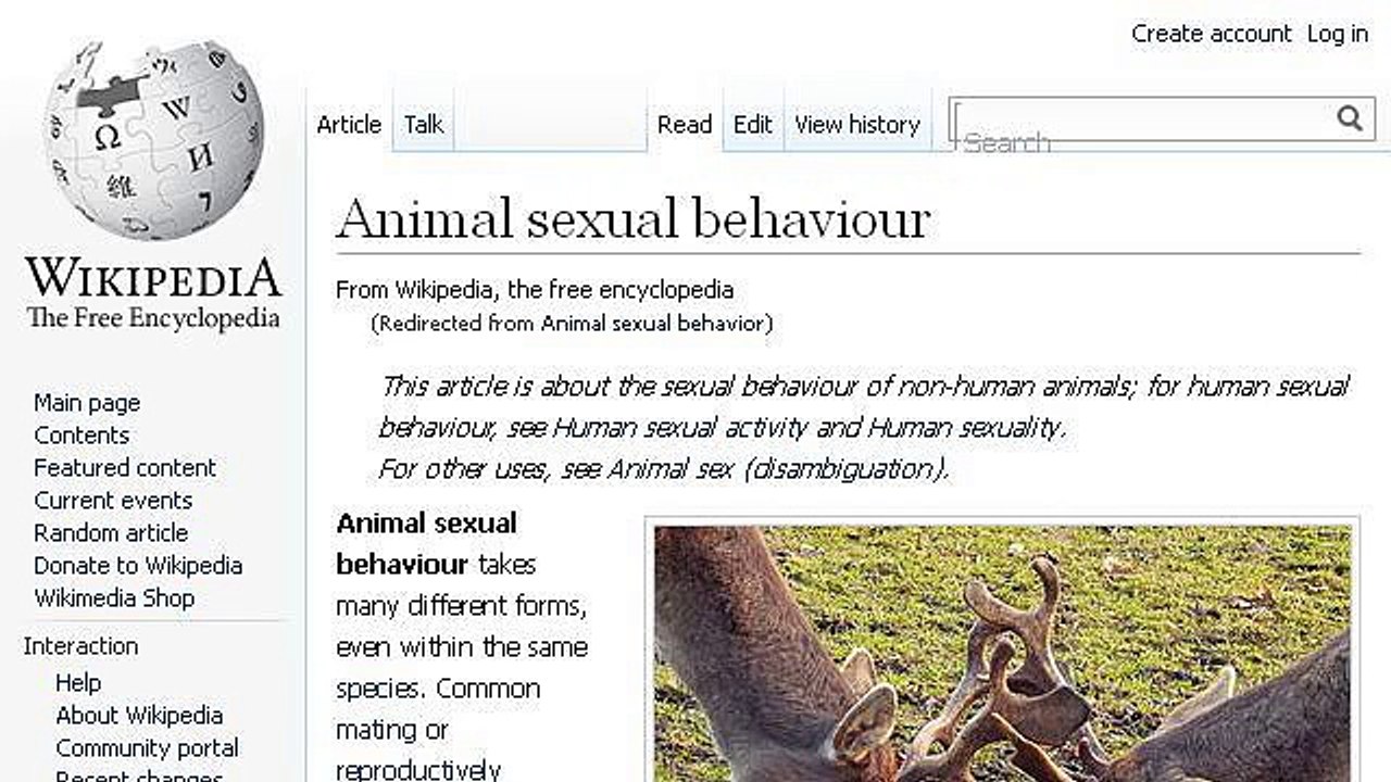 Animals Besides Humans That Mate For Pleasure