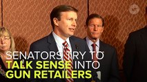 Senators Implore Gun Retailers To Actually Use Background Checks