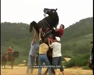 Bu atlar hər kəsi şok edir