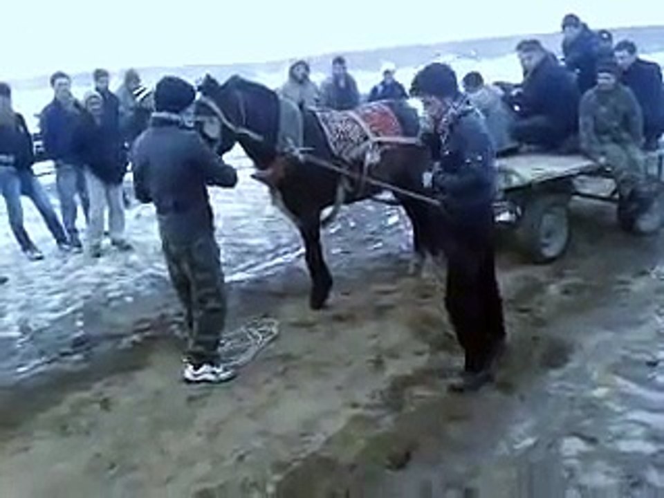at çekişmeleri mekan13