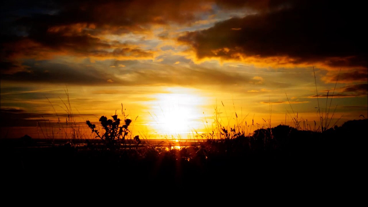 Adelita de Francisco Tarrega - Vidabreve (Marginal 0)