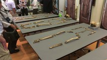 Jamestown burials identified as founders