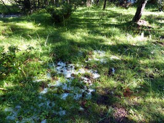 Autour de Merens aout 2014