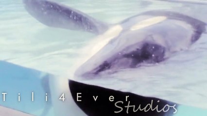 |Goodbye Ikaika|~ My time with Ikaika 2010-2011