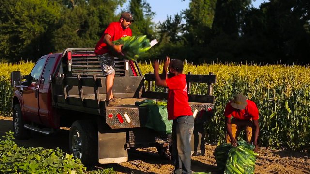 Fresh Picked From Local Farms Delivered to Local Clubs | BJ's Wholesale Club