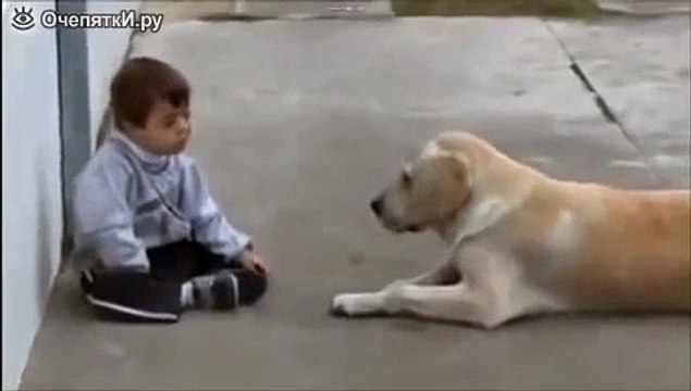 Lustige Tiere. Lass uns Freunde sein. Der junge und der Hund.