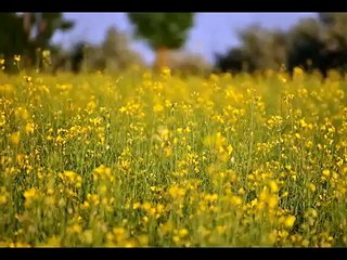 Rachel Portman - We All Complete