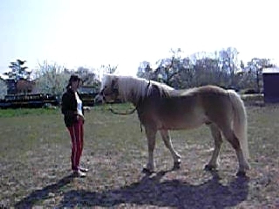 11avril07 002