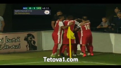 FC Milsami-Skënderbeu 0-2 All Goals Highlights 28_07_2015