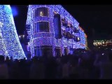 Christmas Holiday at Walt Disney World Theme Parks