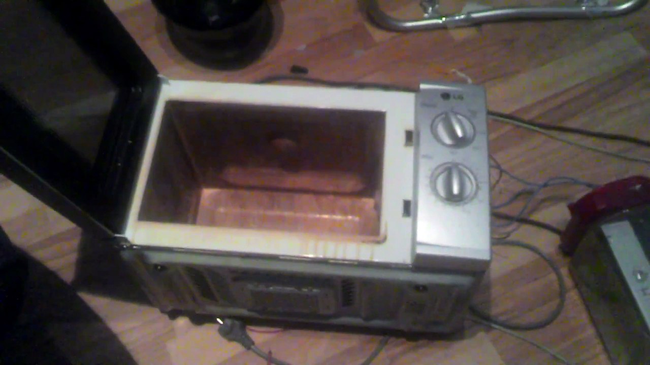 Der Urzeitcode mit EMP und Pflanzenlicht Erklärung des Vorhabens