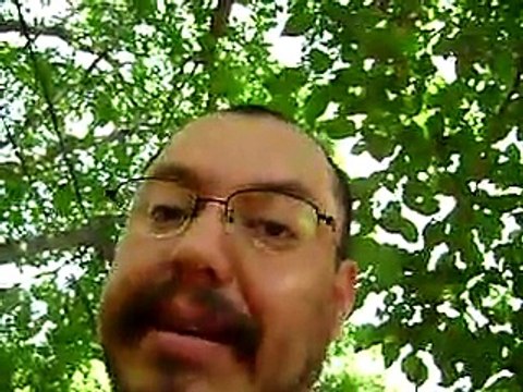 Testing a Garrett ACE 250 metal detector on my test patch , great metal detector for the price..