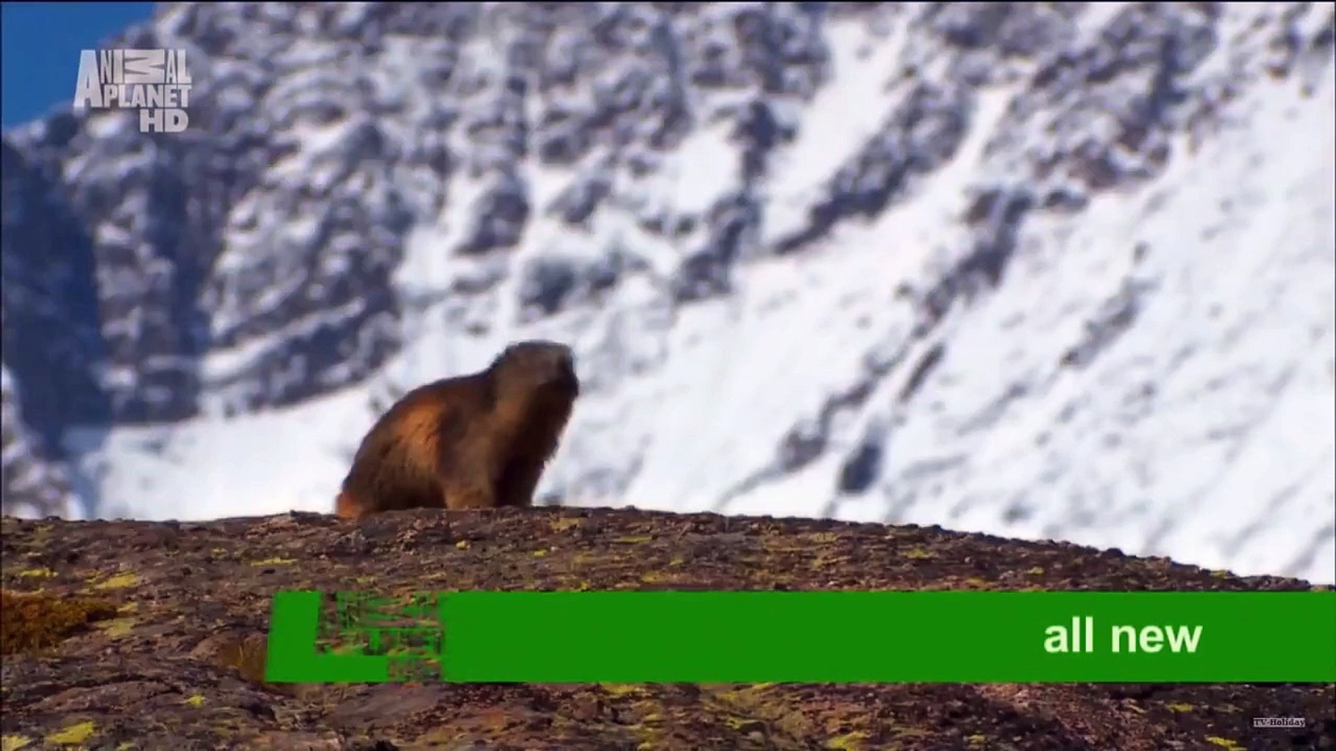 ⁣Wild France - Animal Planet HD1080-30p 2012