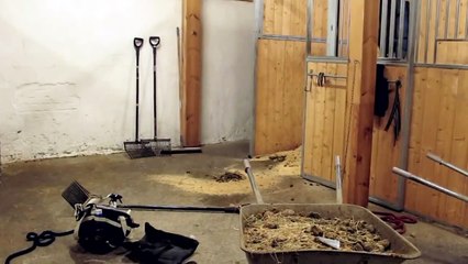 Don´t you worry about a thing