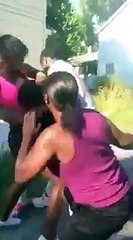 Thots In Training Want They Money Though Fights Guy