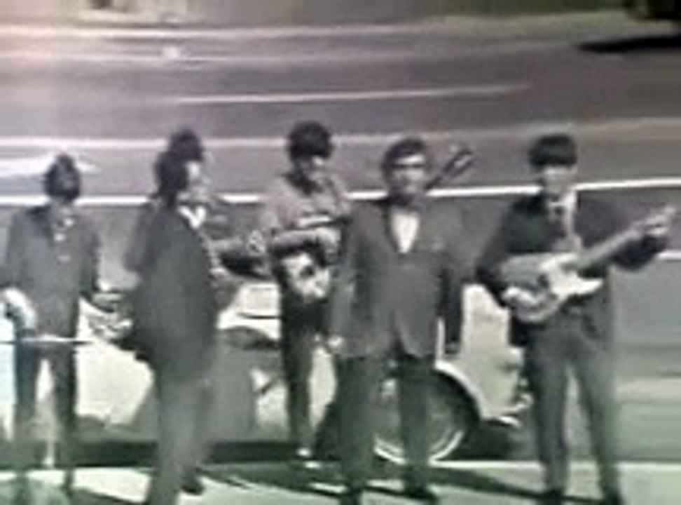 The Turtles - You Baby - Where The Action Is - Dick Clark 1965