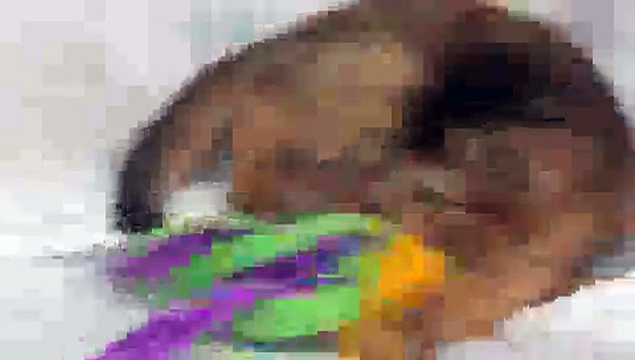 Kiros and Alice's Kittens(ipad)