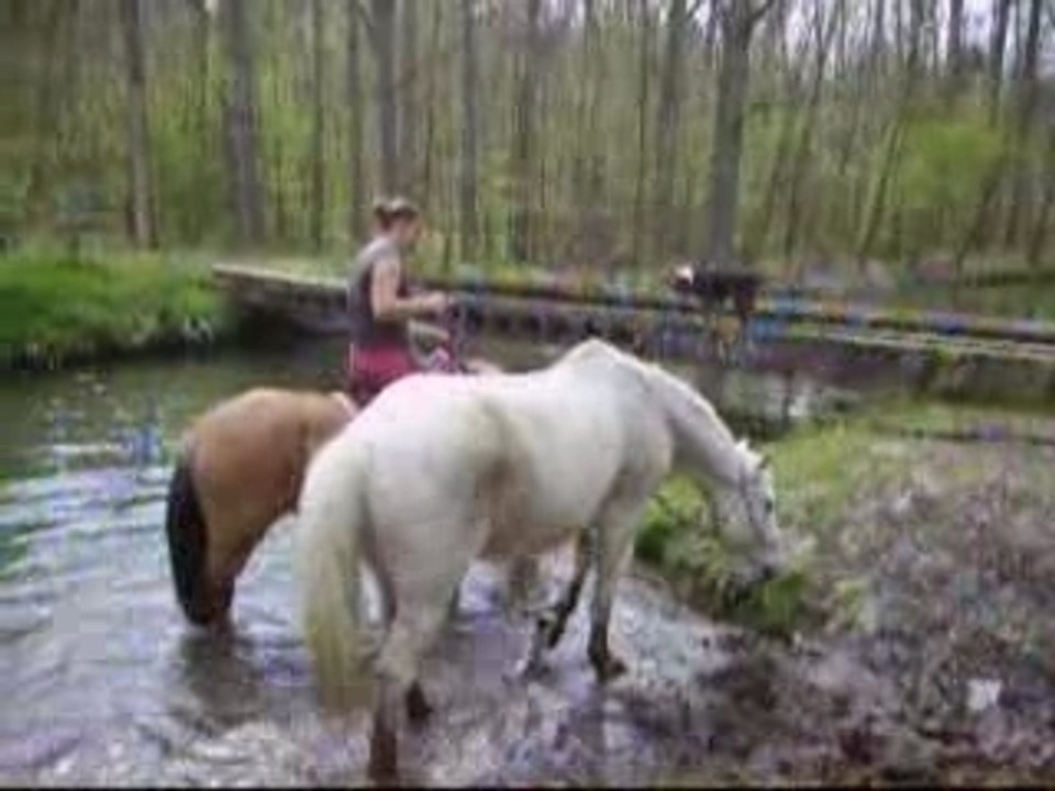 Video Mira cross