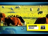 Interés Público - INAC