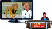 American dentist Walter James sought in killing of beloved lion Cecil