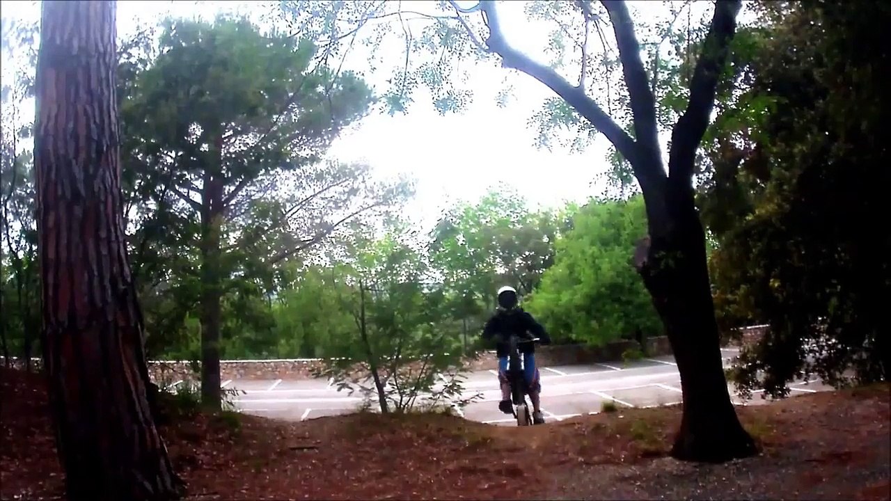 Test Haibike Nduro 2014