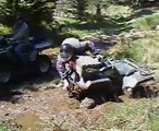 Quad ATV 4x4 Grizzly in france