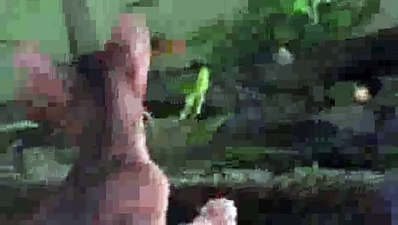 Fish Tease Kitten - Kitten FAIL!