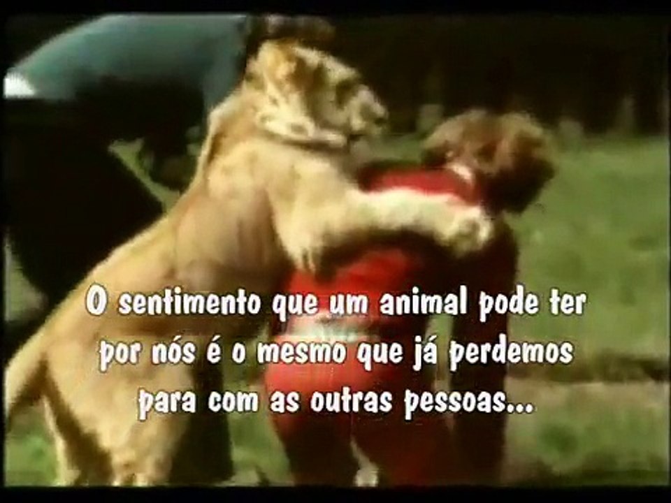 Christian, o leão em Português HD