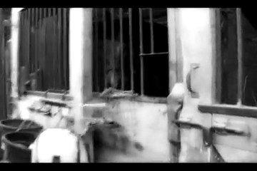 ://FOREVER and ever the S T A R S [[will]] remain-one year!!