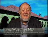 Irving L. Weissman, MD, discusses websites advertising unproven stem cell therapies