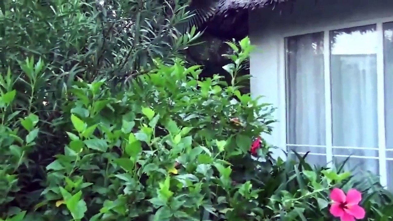 Leopard Beach Resort & Spa - Kenya