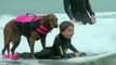 Surf dog Ricochet helps kids with special needs surf - Happiness alert!