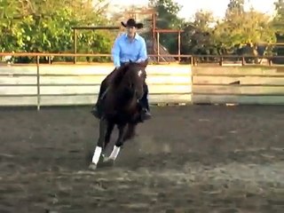 Jenny Sherbo, Horse Trainer, Stops and Spins