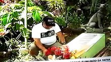 ANG SUSUNOD NA WONDER DOG - Kwento ni Marc Logan