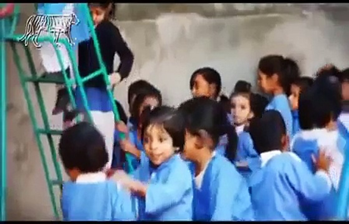 PMLN Manifesto