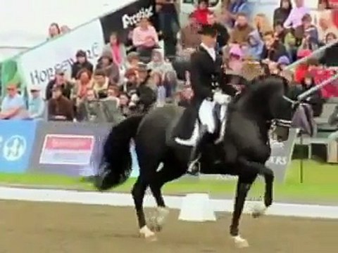 Dressage: Totilas Black Velvet