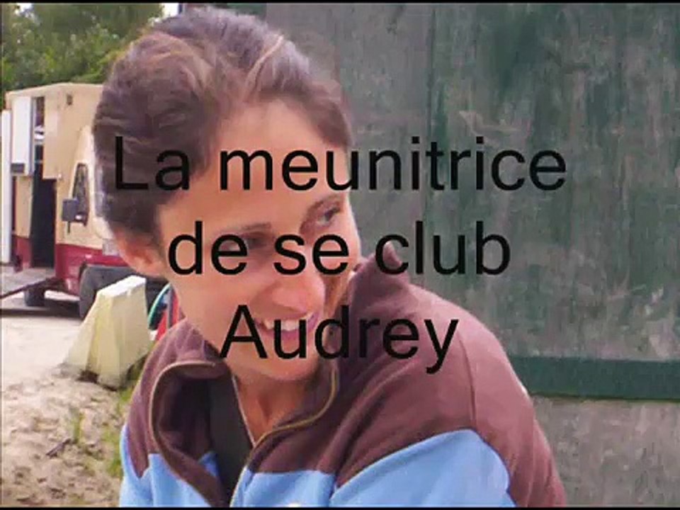 les écuries d'auvers