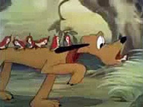 Mickey mouse and donald duck cartoon collections