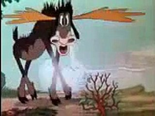 Mickey mouse and donald duck cartoon collections