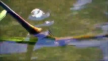 トンボ成虫が水の中に潜って行くんだけど！？衝撃映像昆虫貴重dragonfly bugヤゴ卵カワトンボ入水