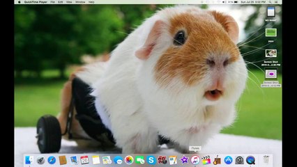 3 Quick Travel Tips!!!